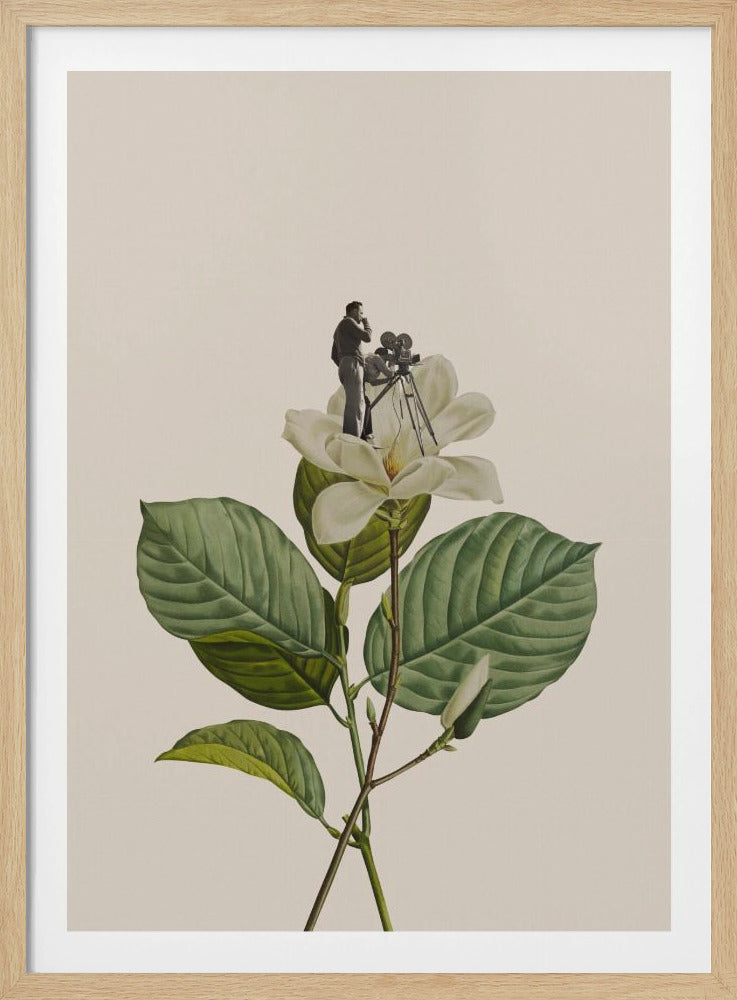 Botanischer Vintage-Kameramann | Poster
