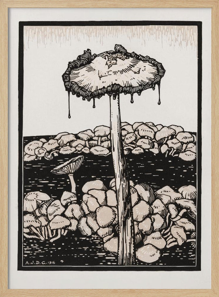 Tropfender Pilz 1916 | Poster