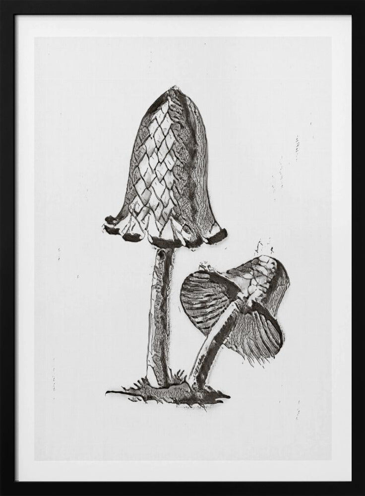 Vintager Tintenfisch-Esspilz, BW, hell | Poster
