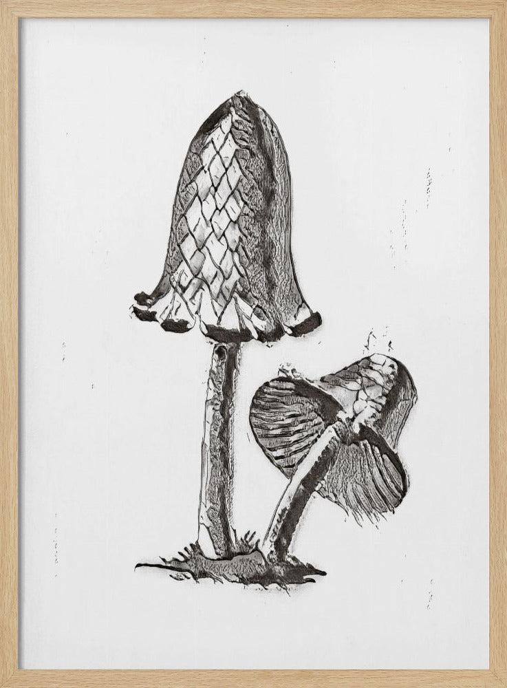 Vintager Tintenfisch-Esspilz, BW, hell | Poster