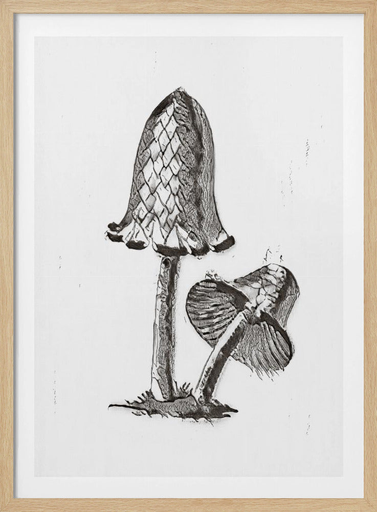 Vintager Tintenfisch-Esspilz, BW, hell | Poster
