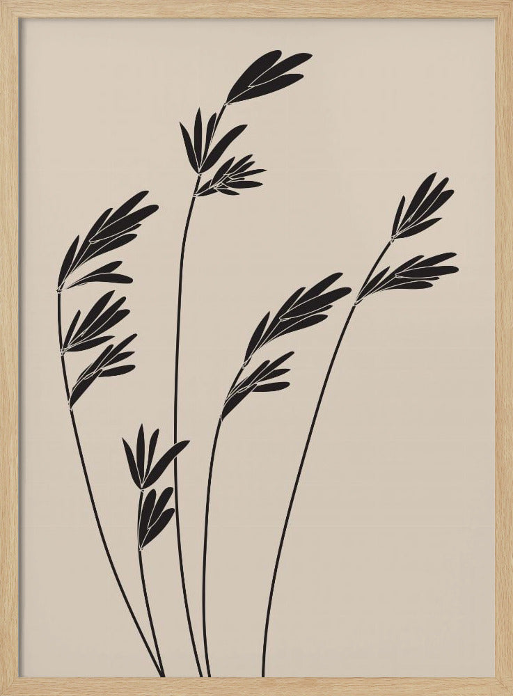 Schwarze Pflanzen | Poster