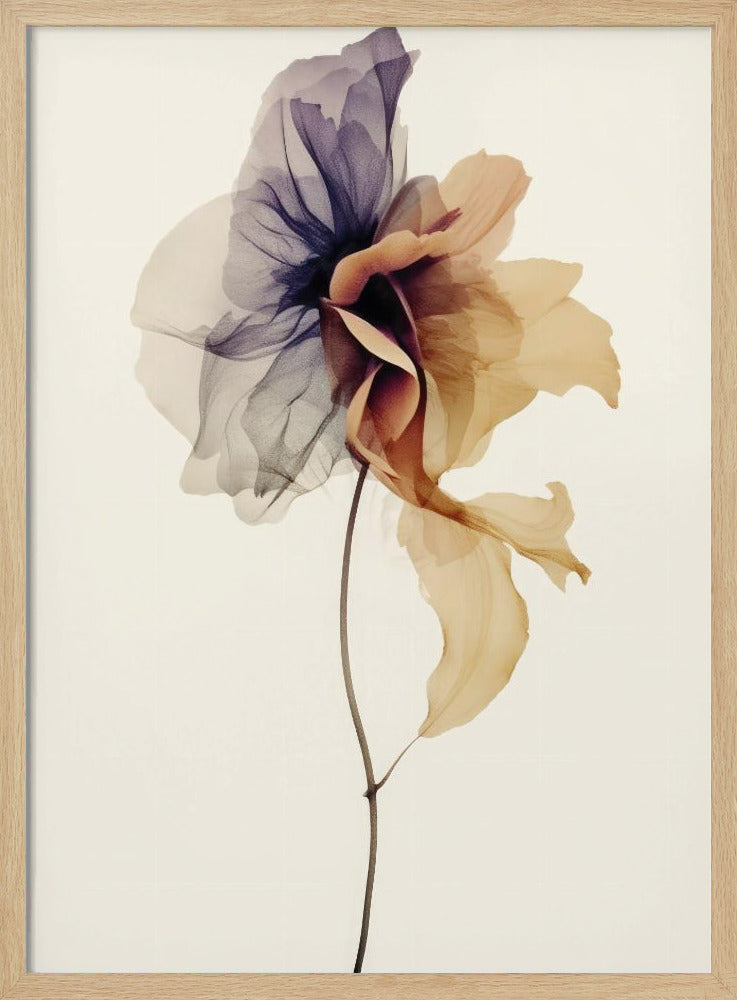 Chiffonblume | Poster