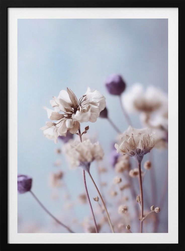 Flüsternde Blüten | Poster