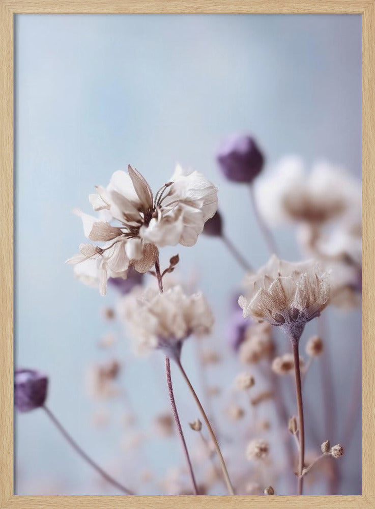 Flüsternde Blüten | Poster