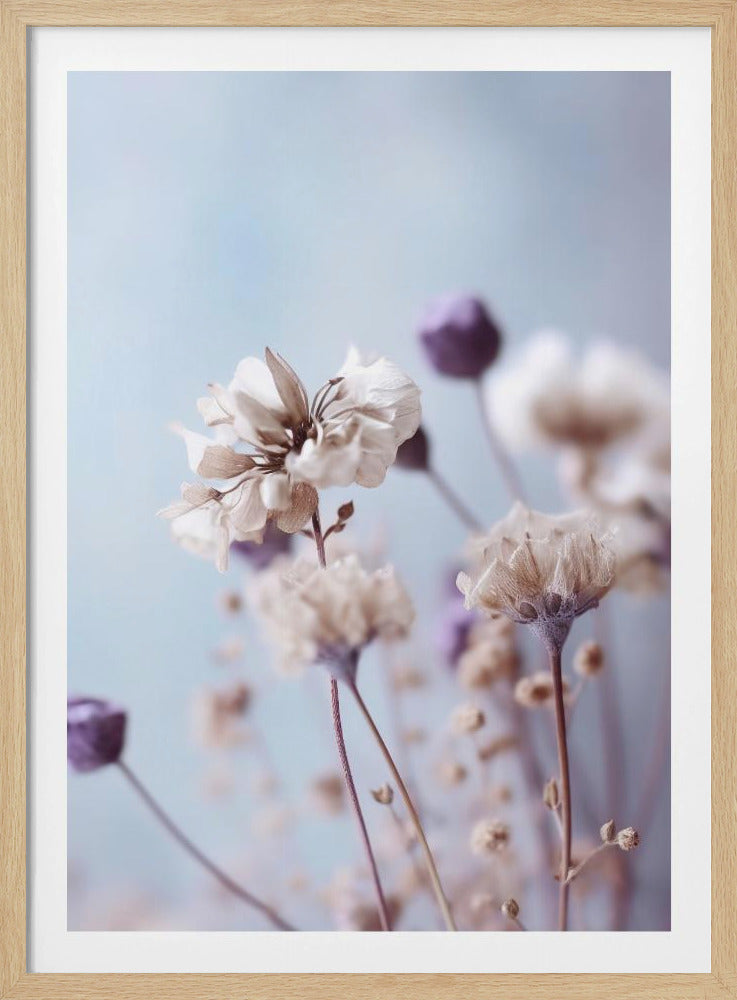 Flüsternde Blüten | Poster