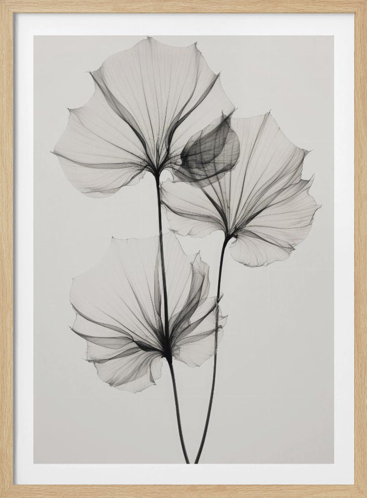 Transparente Botanik Nr. 3 | Poster