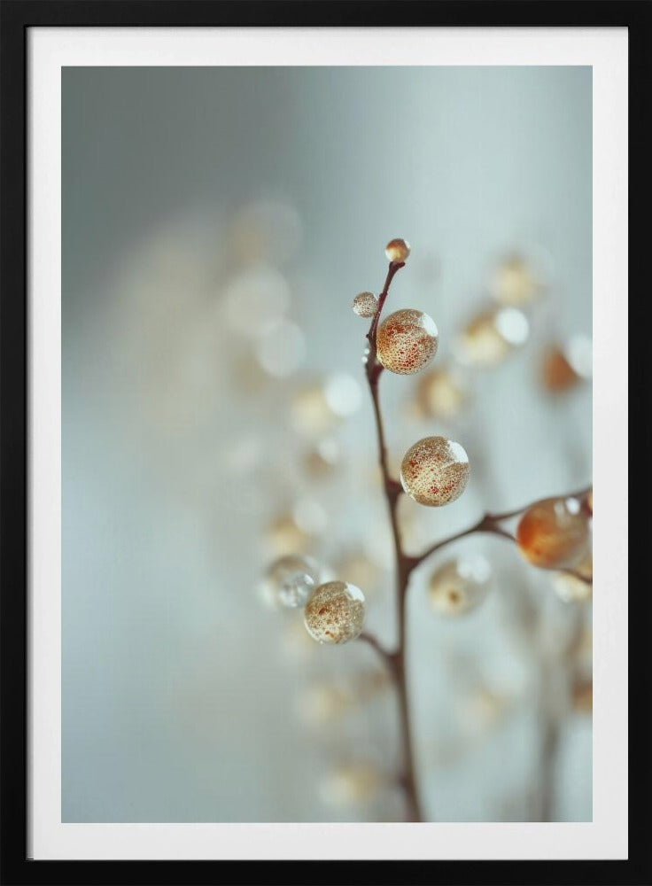 Leuchtende Tautropfen | Poster