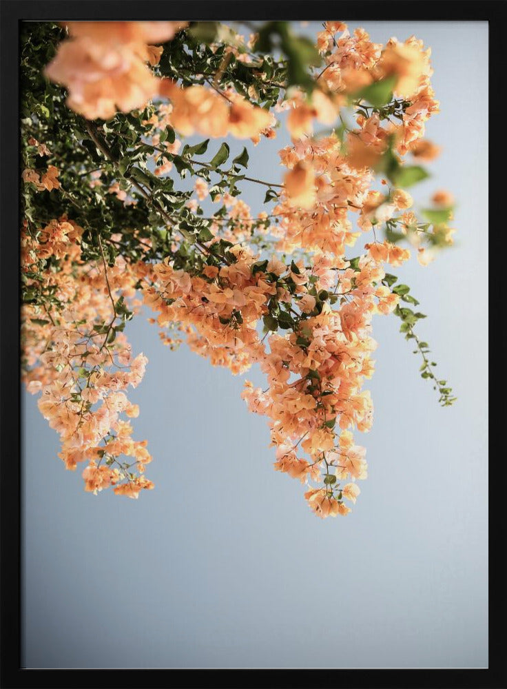 Goldener Blütentanz | Poster