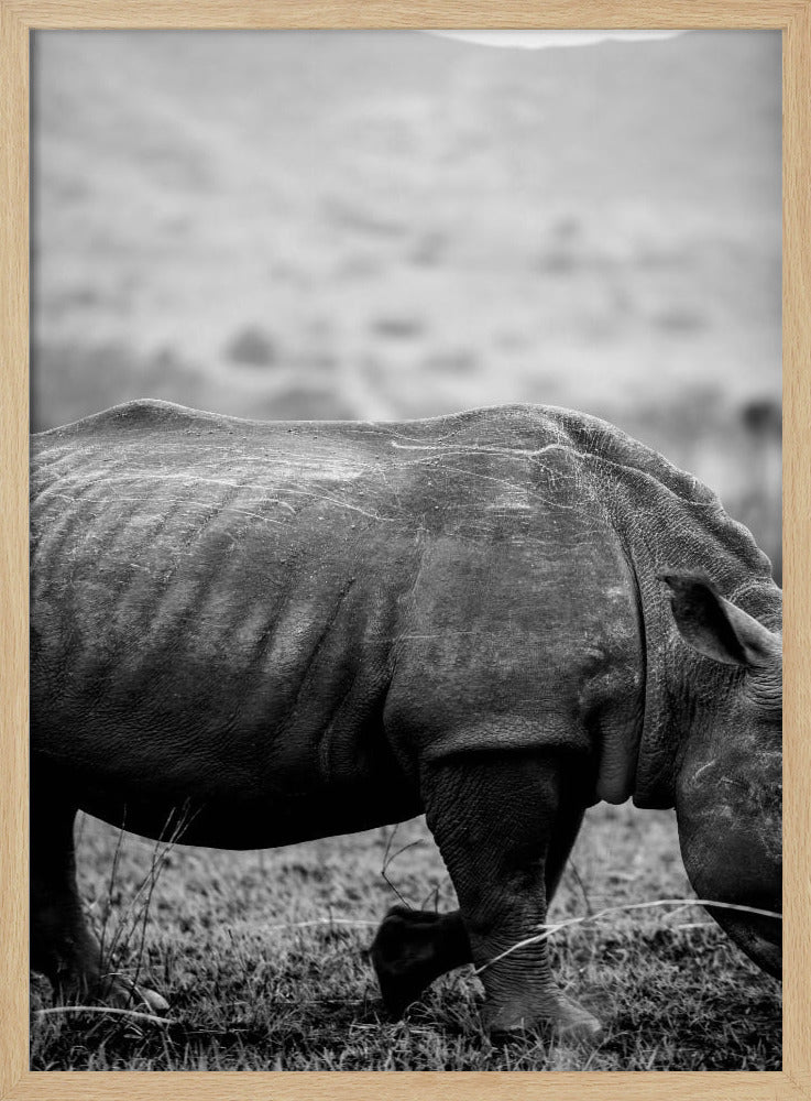 Gentle Giant Stroll | Poster