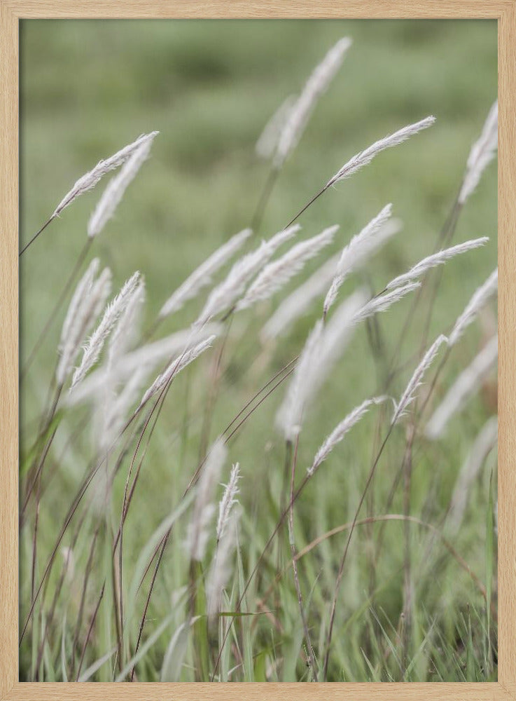 Flüsternde Wiesen | Poster