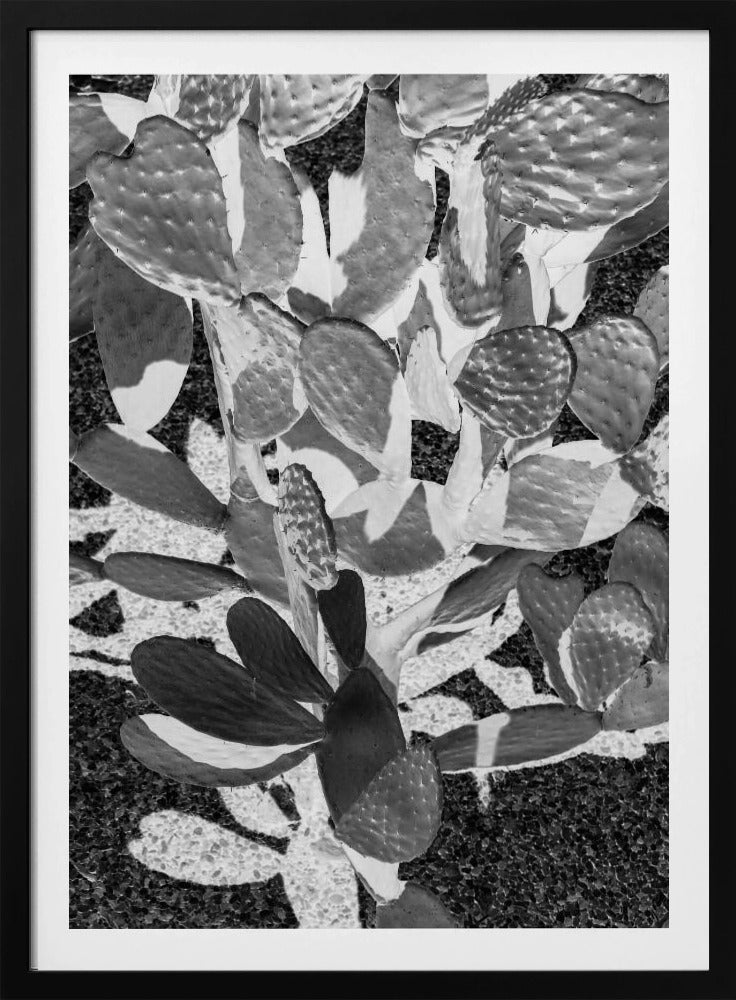 Stachelige Muster | Poster