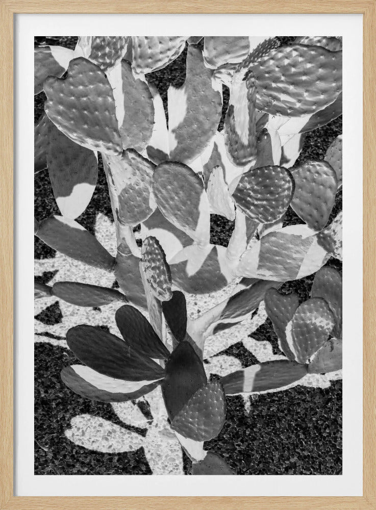 Stachelige Muster | Poster