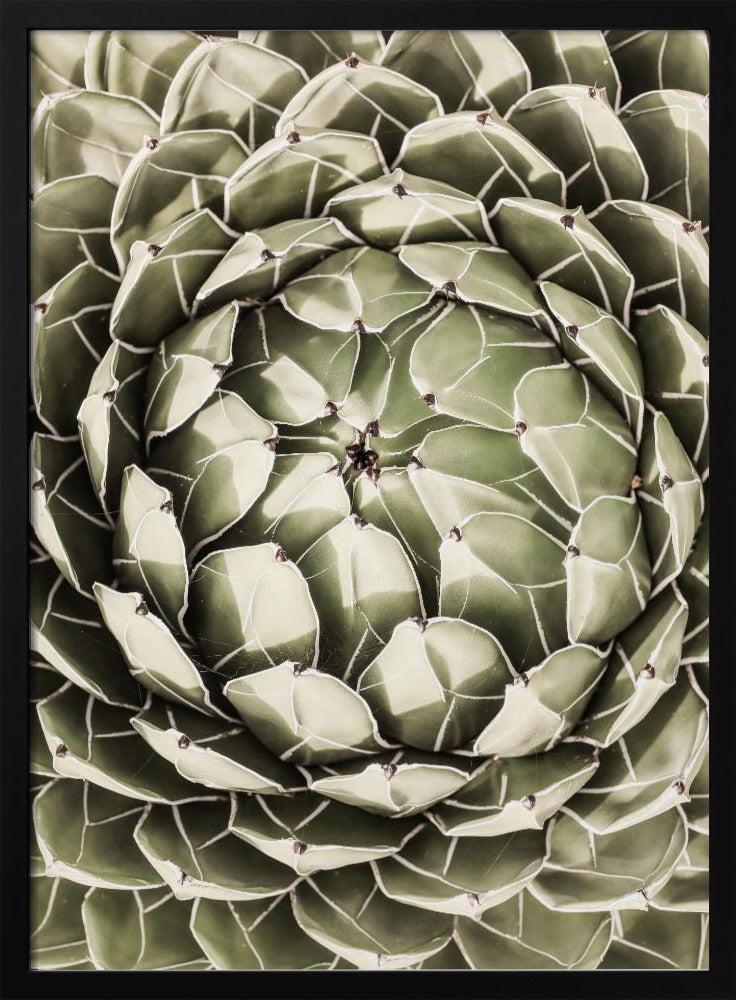 Geometrisches Sukkulenten-Poster