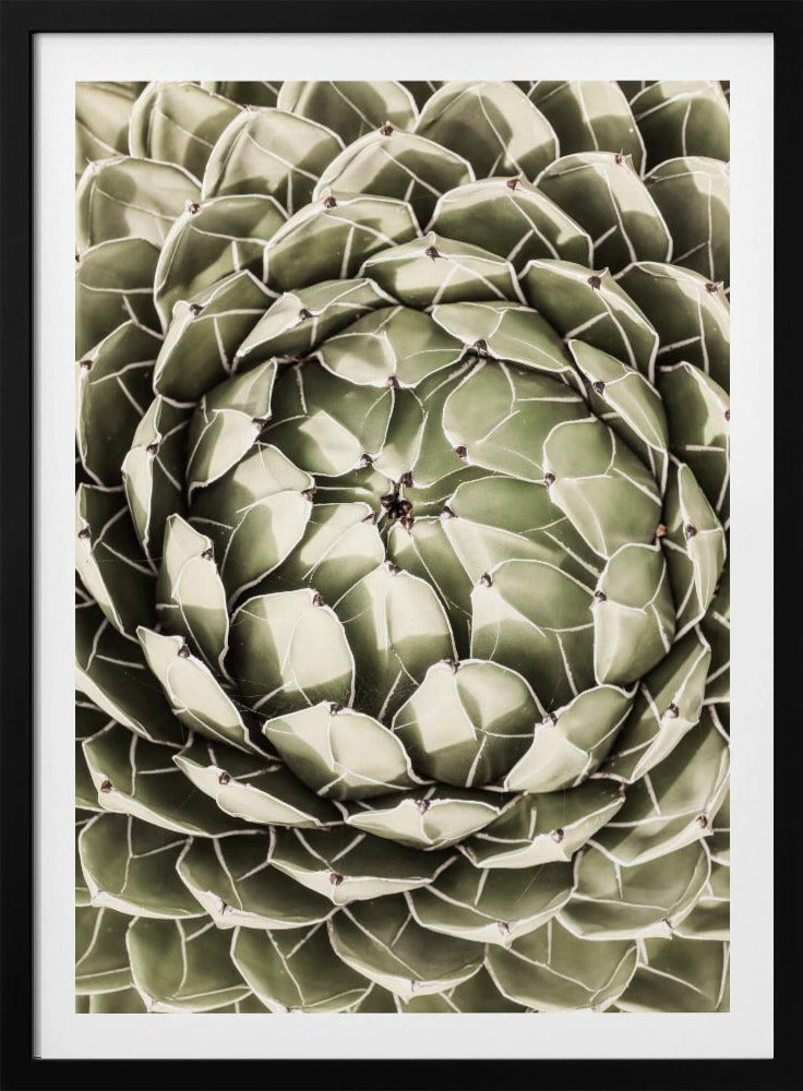 Geometrisches Sukkulenten-Poster