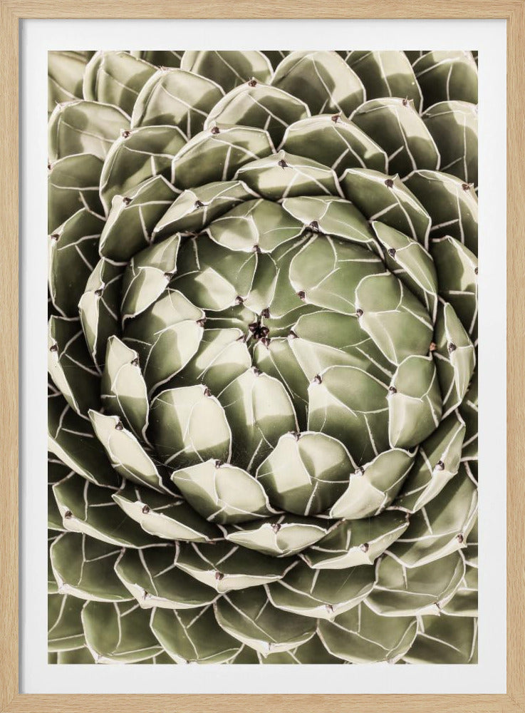 Geometrisches Sukkulenten-Poster