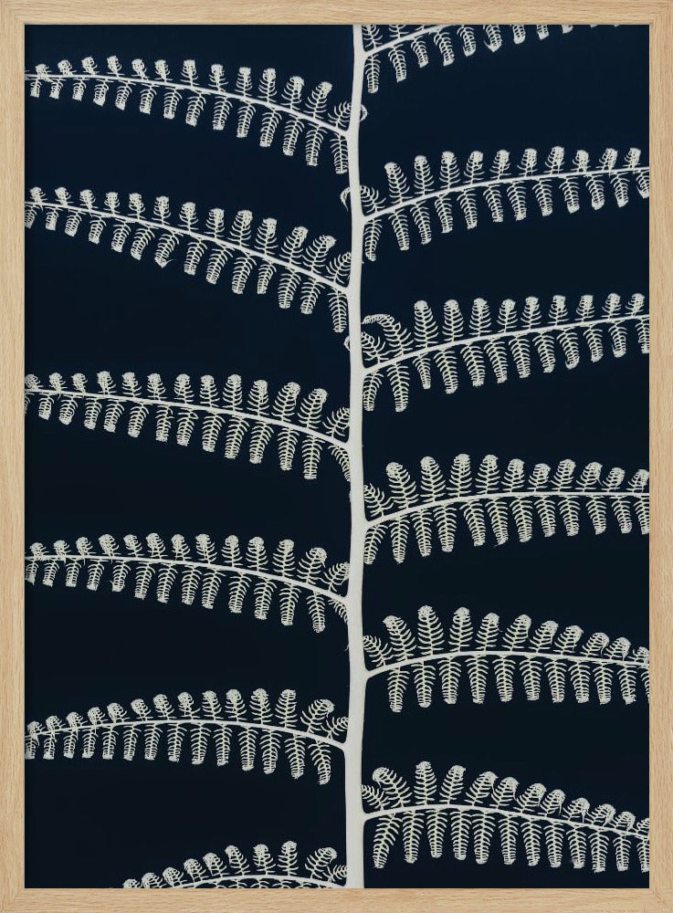 Fern Whispering | Poster