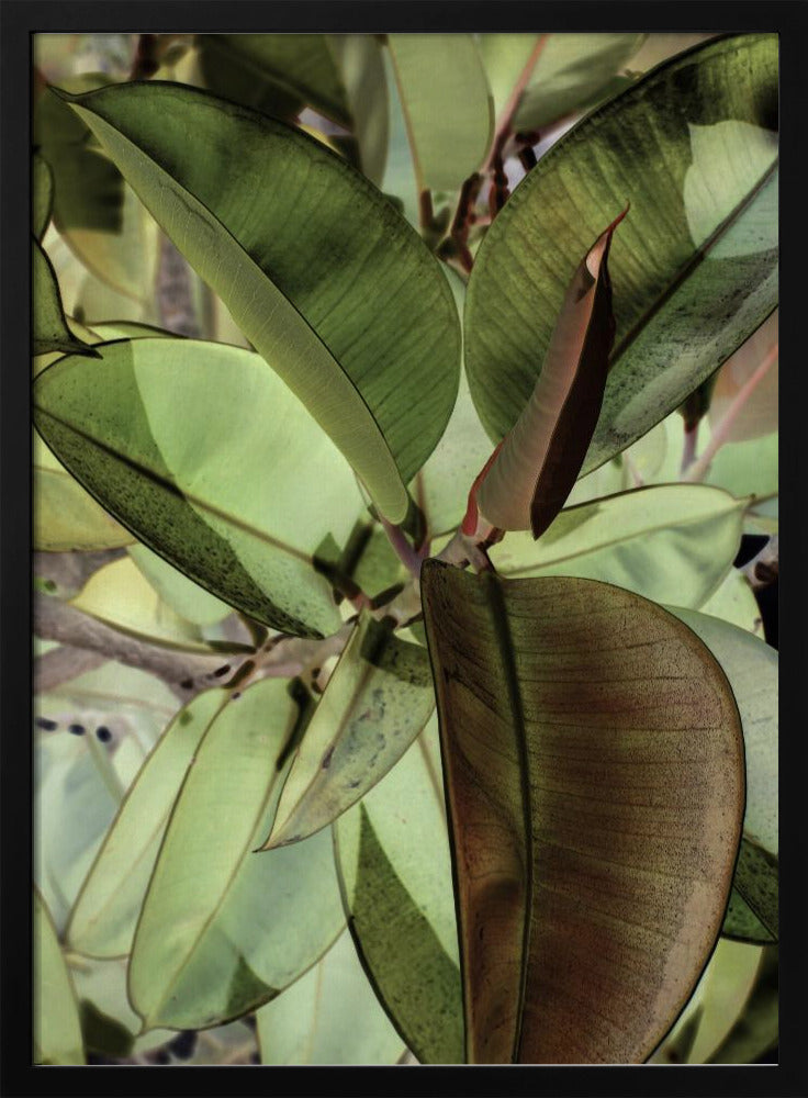 Leafy Dreamscape | Poster