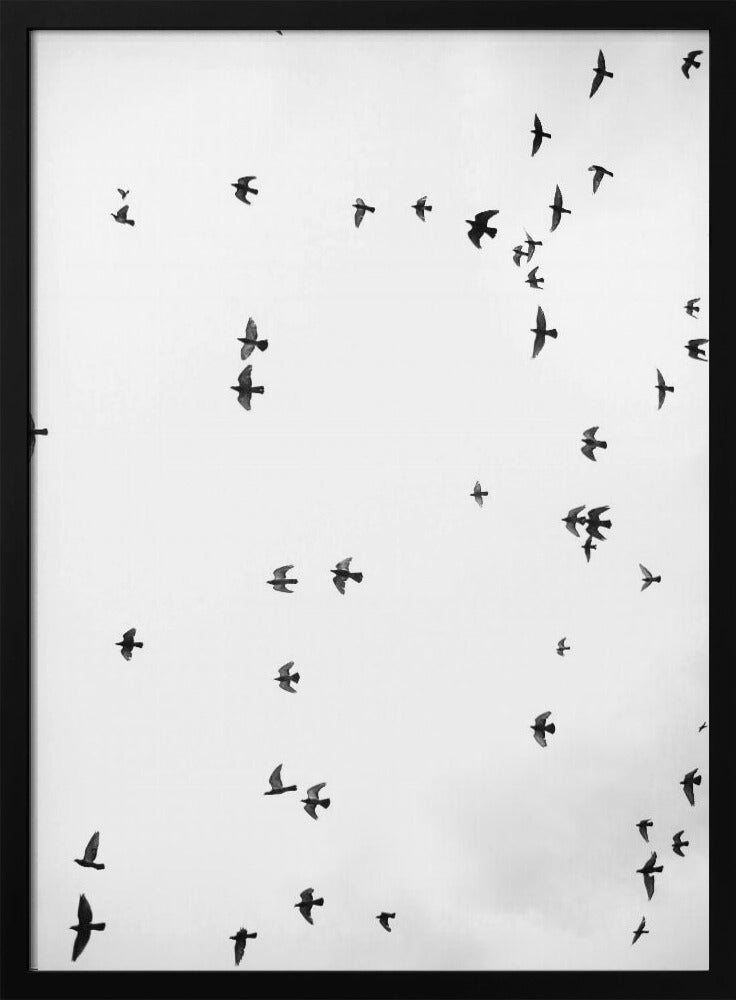 Flug in Stille | Poster