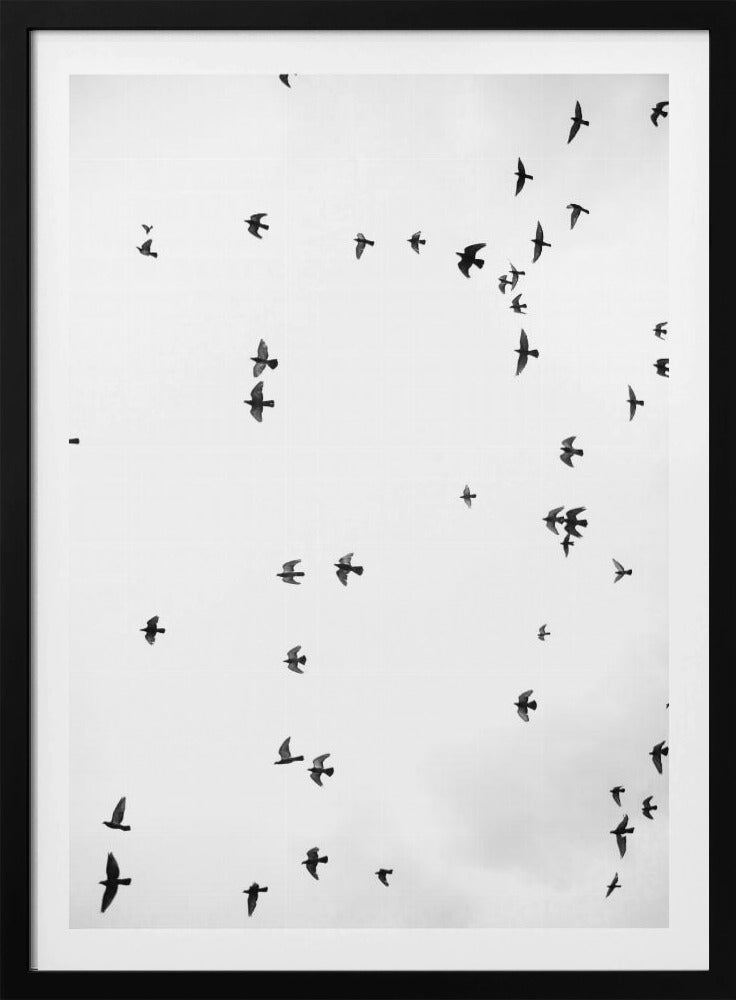 Flug in Stille | Poster