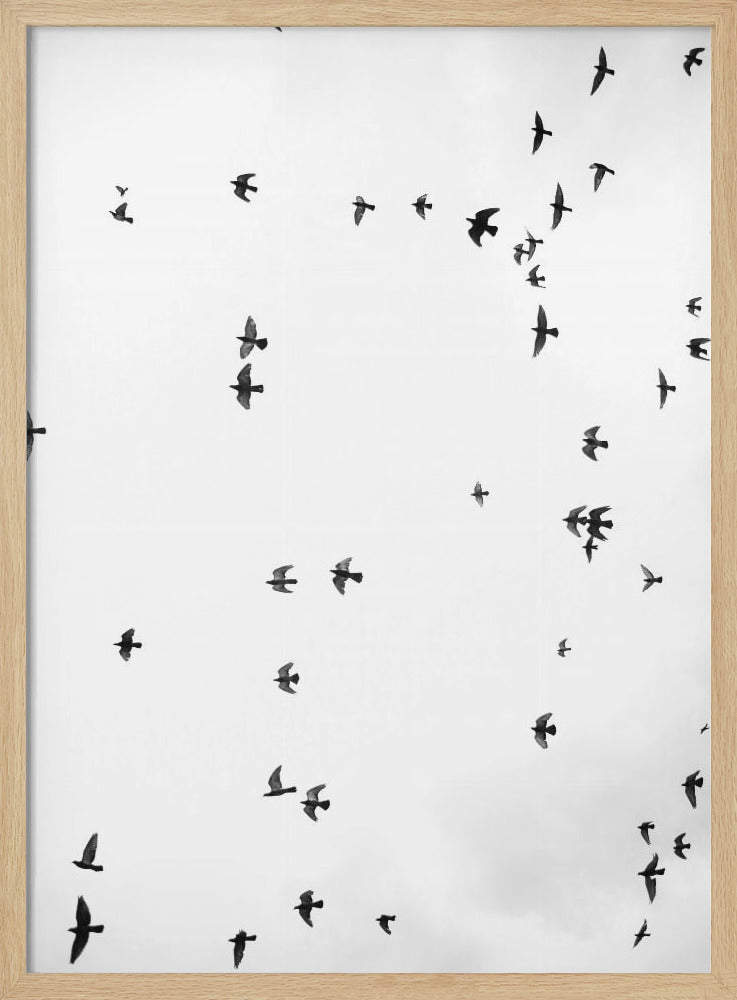 Flug in Stille | Poster