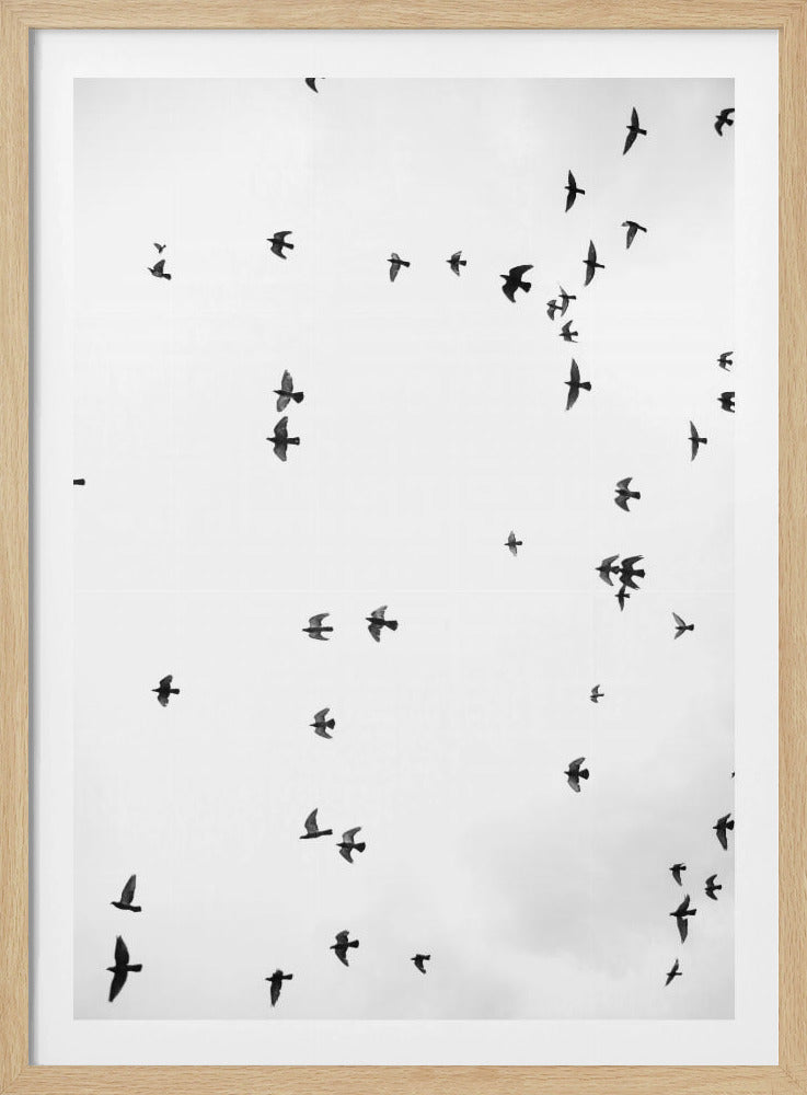 Flug in Stille | Poster