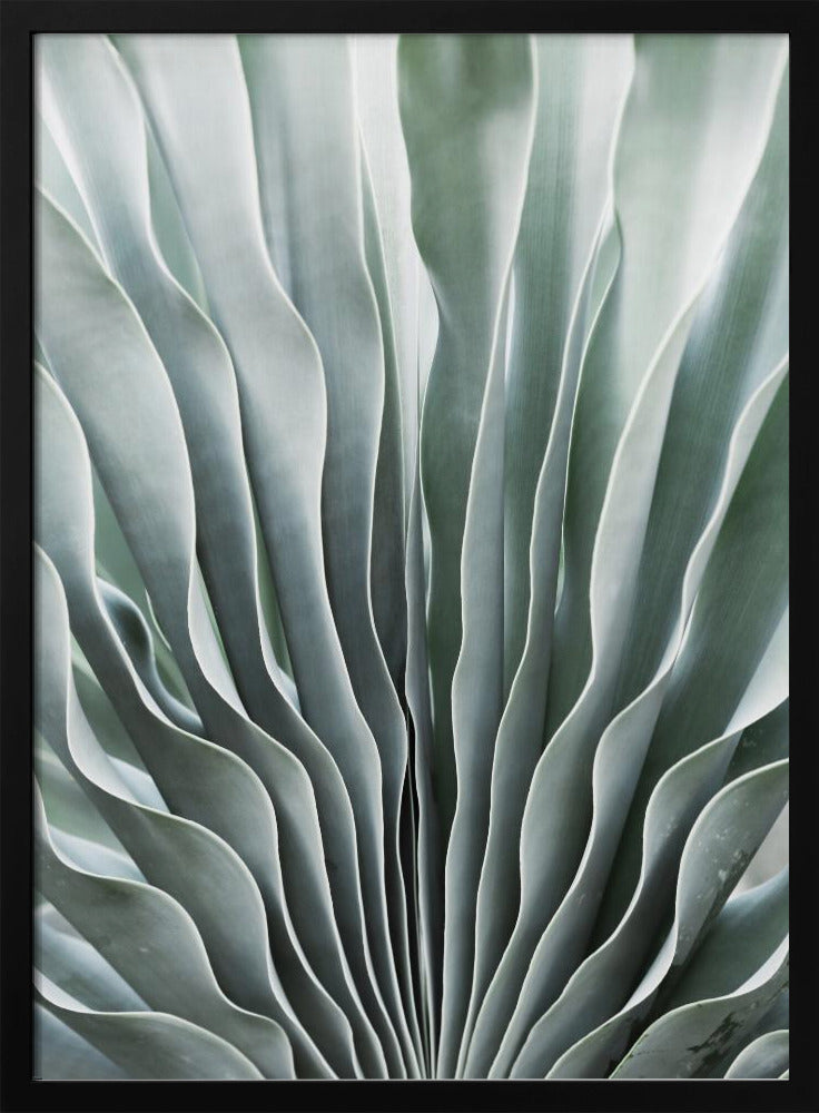 Die Gnade der Natur | Poster