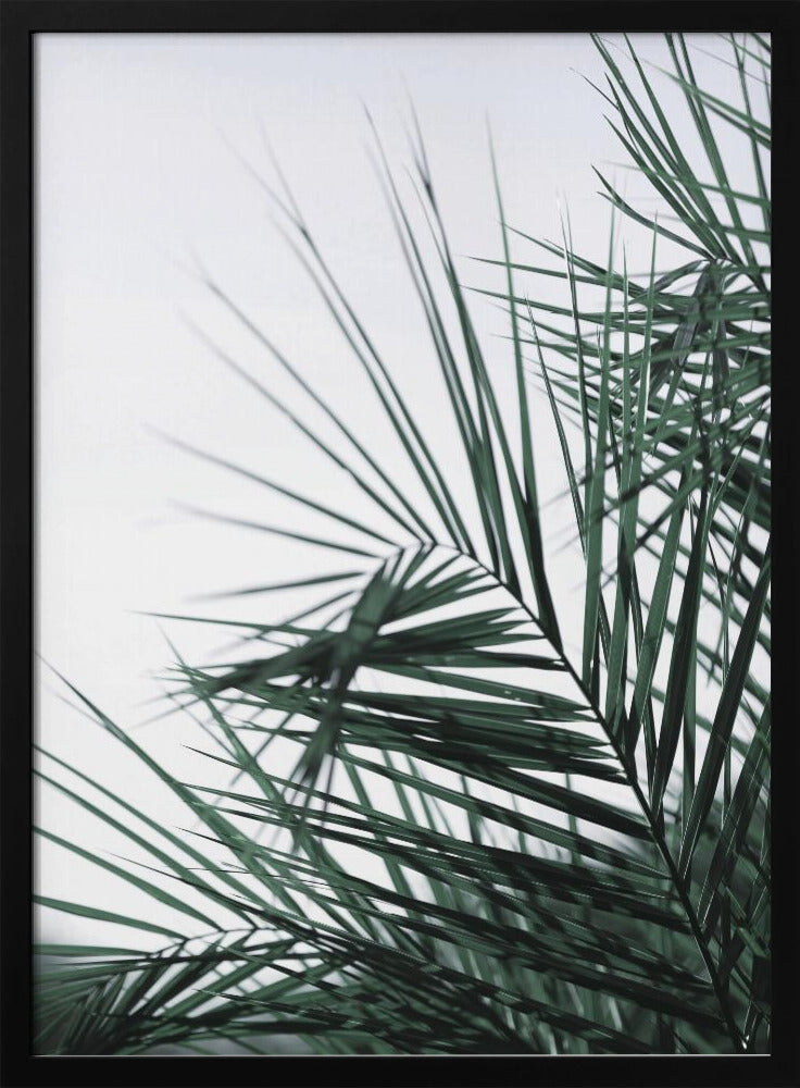 Flüsternde Palmen | Poster