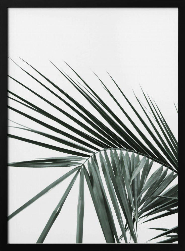 Tropical Elegance | Poster