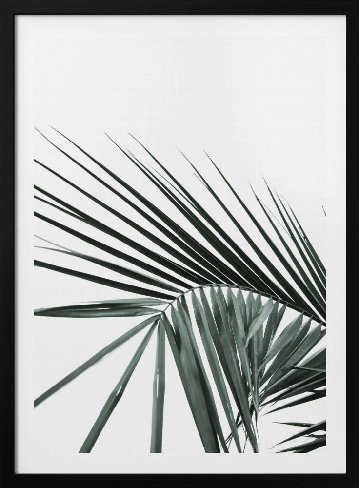 Tropical Elegance | Poster