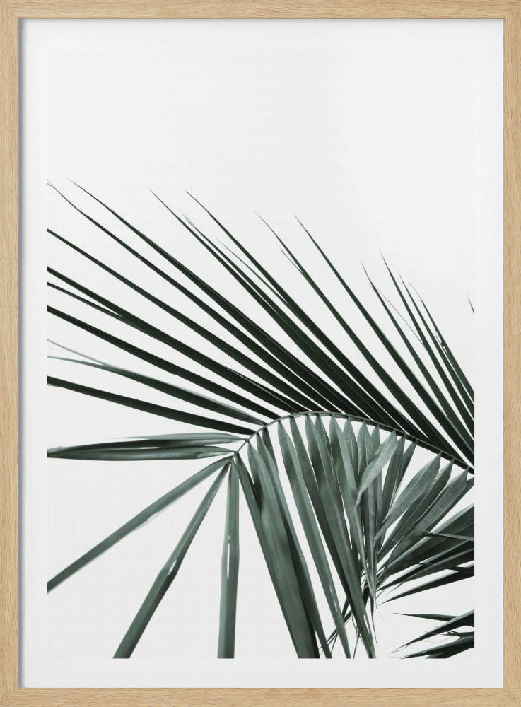 Tropical Elegance | Poster