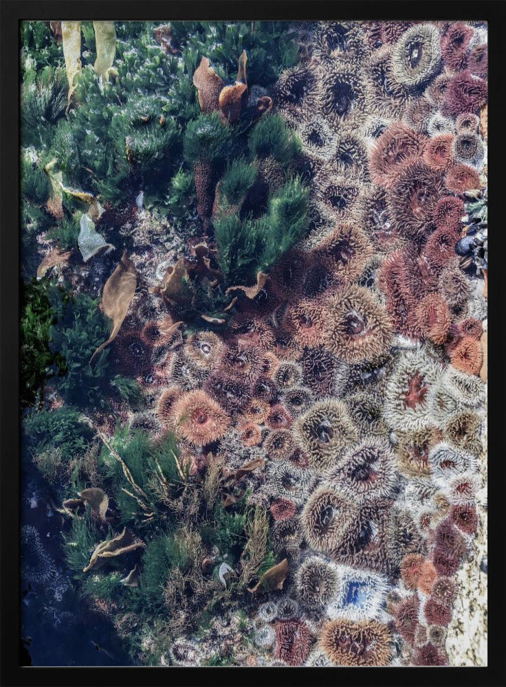 Ocean&#039;s Tapestry | Poster