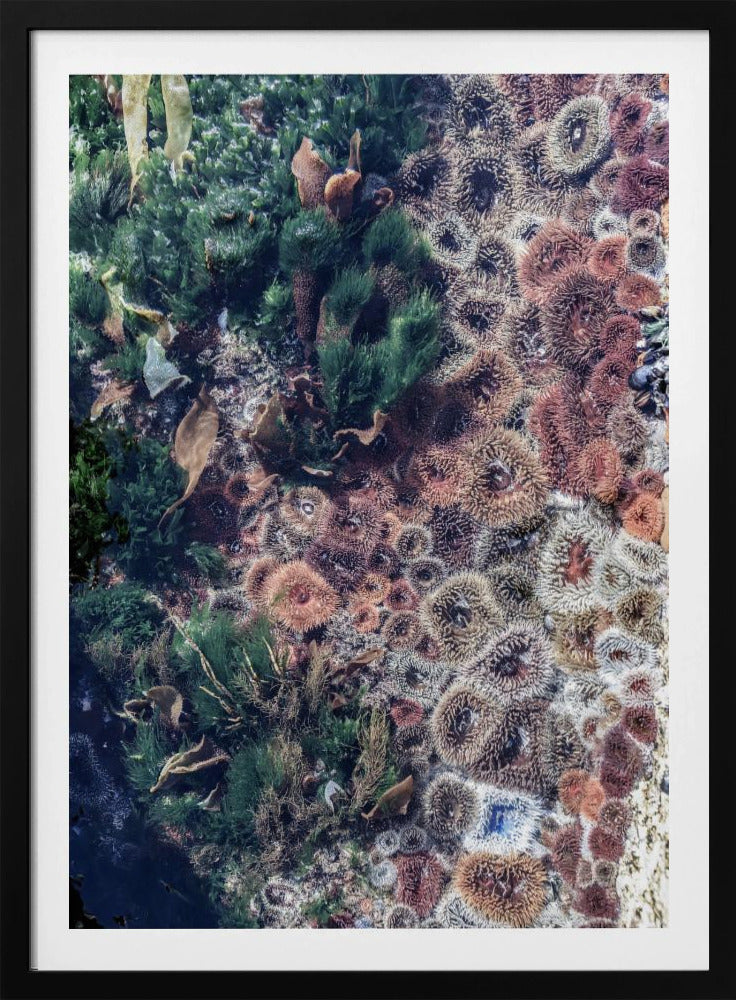 Ocean&#039;s Tapestry | Poster