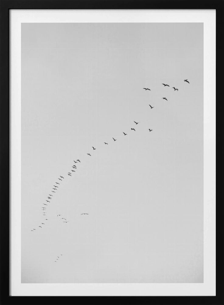 Formationsflug | Poster