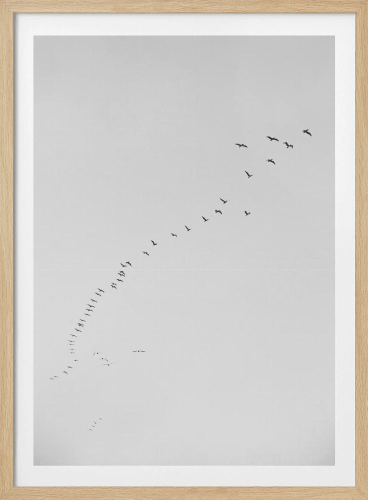 Formationsflug | Poster