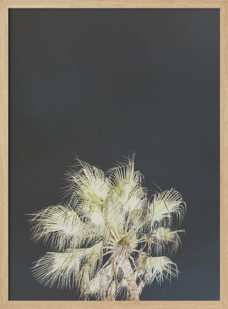 Leuchtende Palmen | Poster