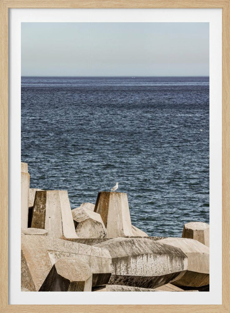 Möwe am Meer | Poster
