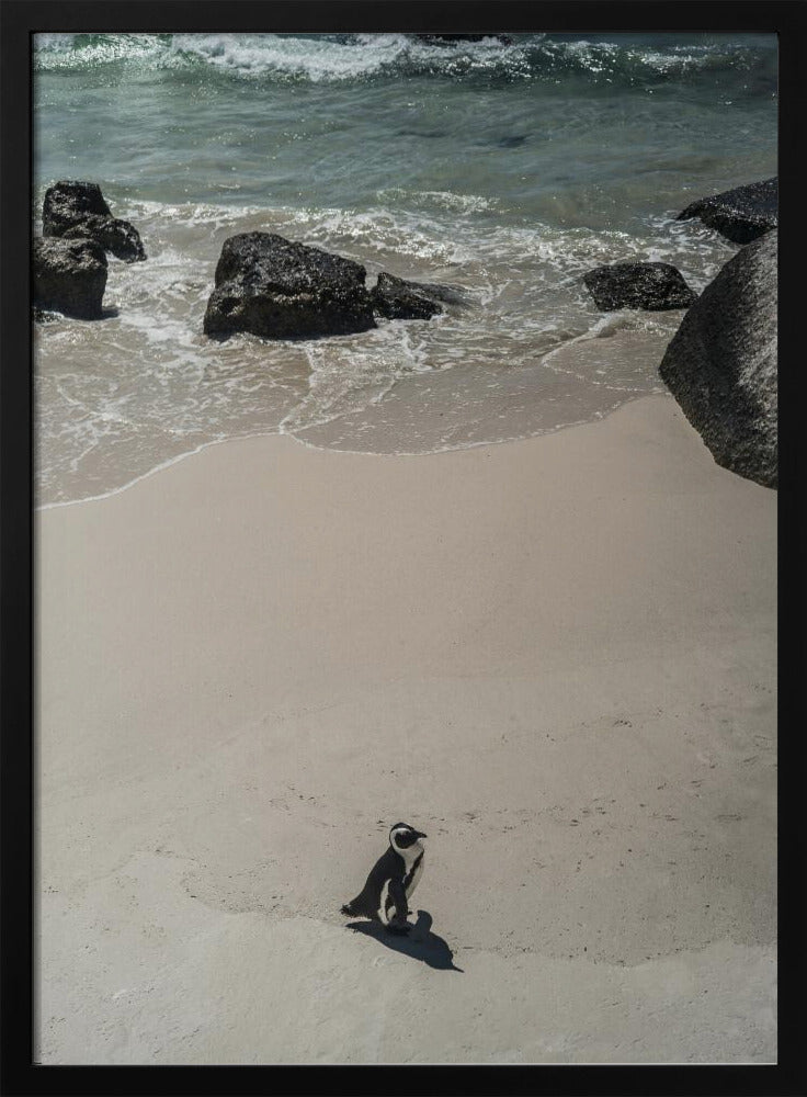 Einsamer Strandspaziergang | Poster