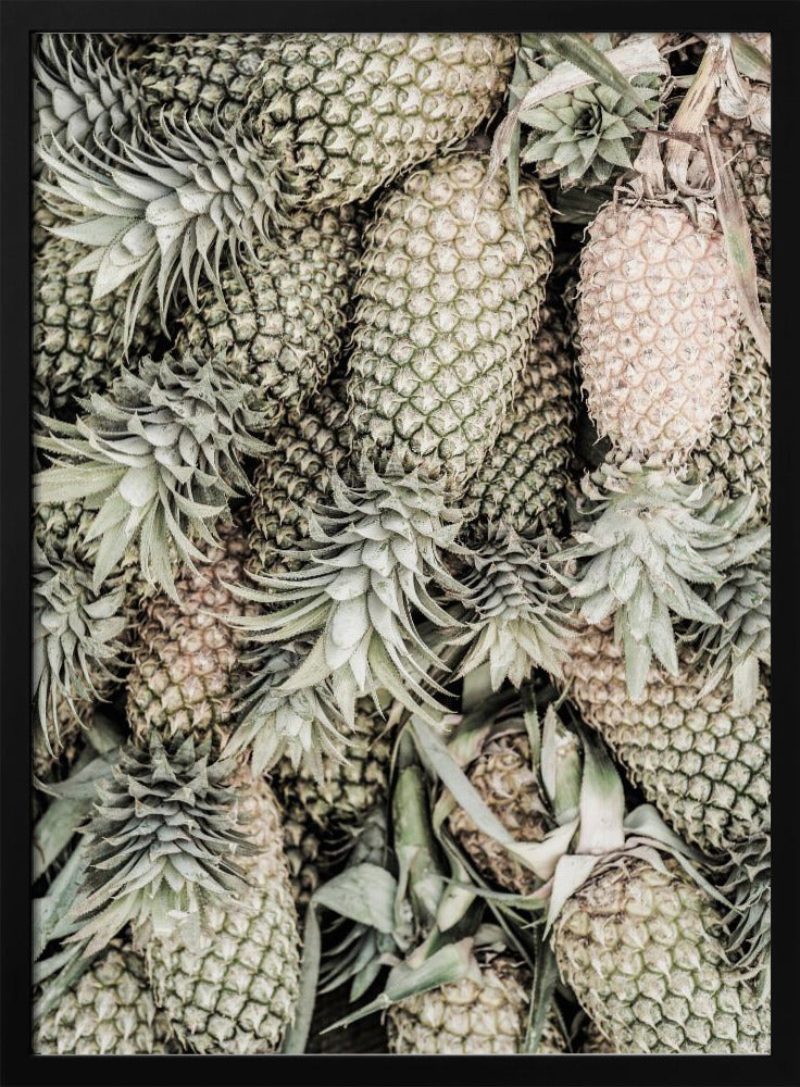Ananas-Ausstellung | Poster