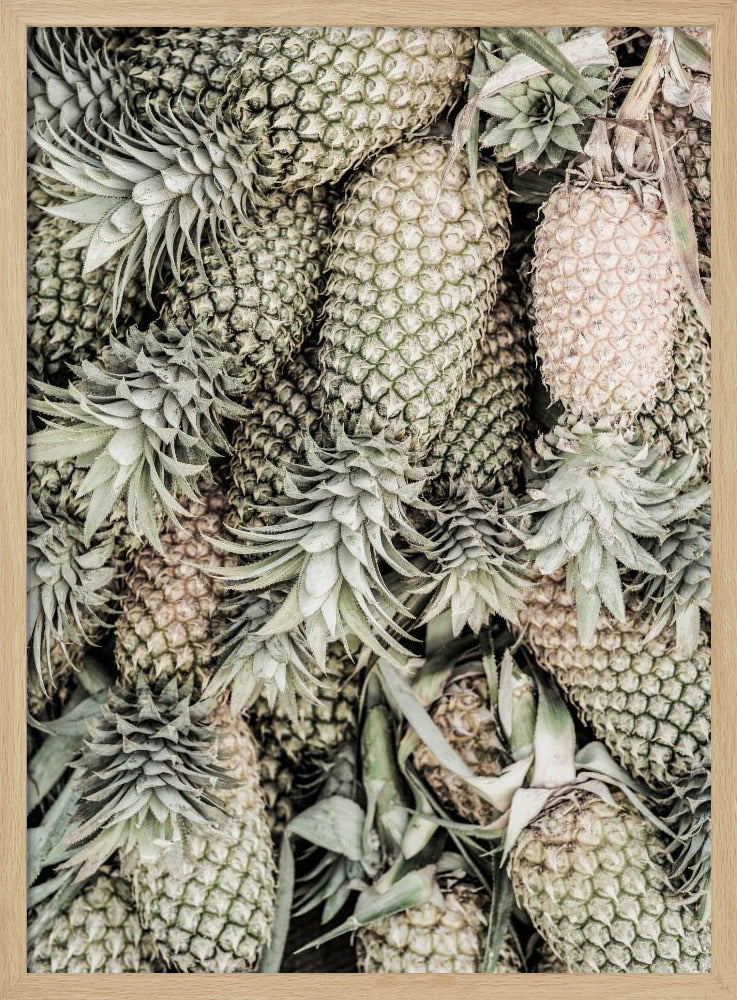 Ananas-Ausstellung | Poster