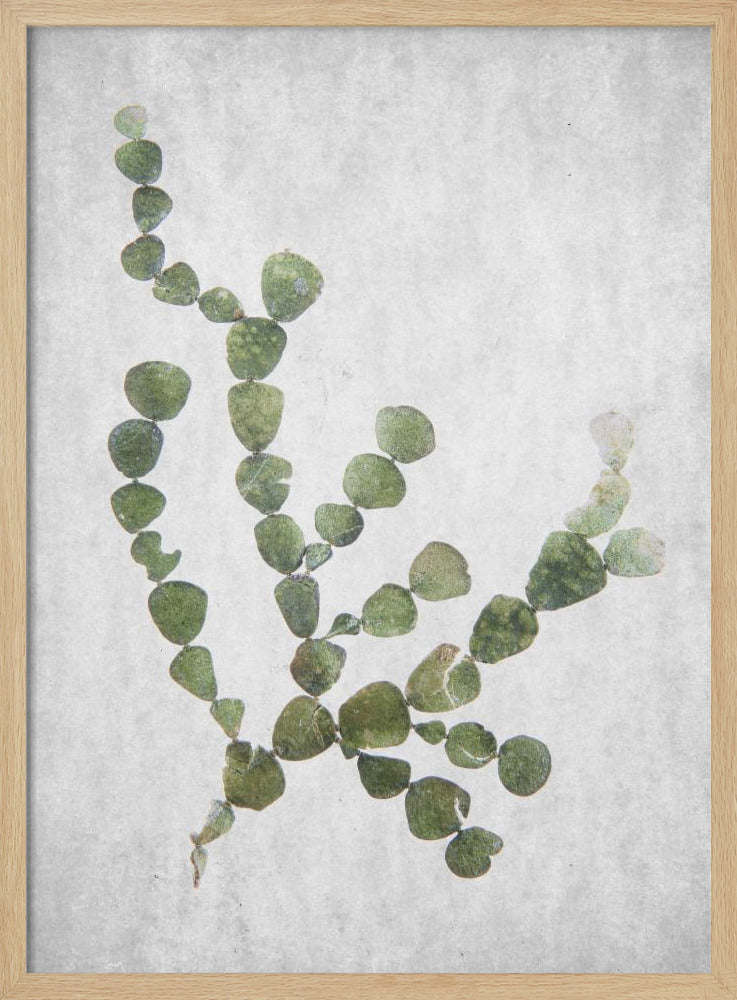 Dieses minimalistische Kunstwerk | Poster