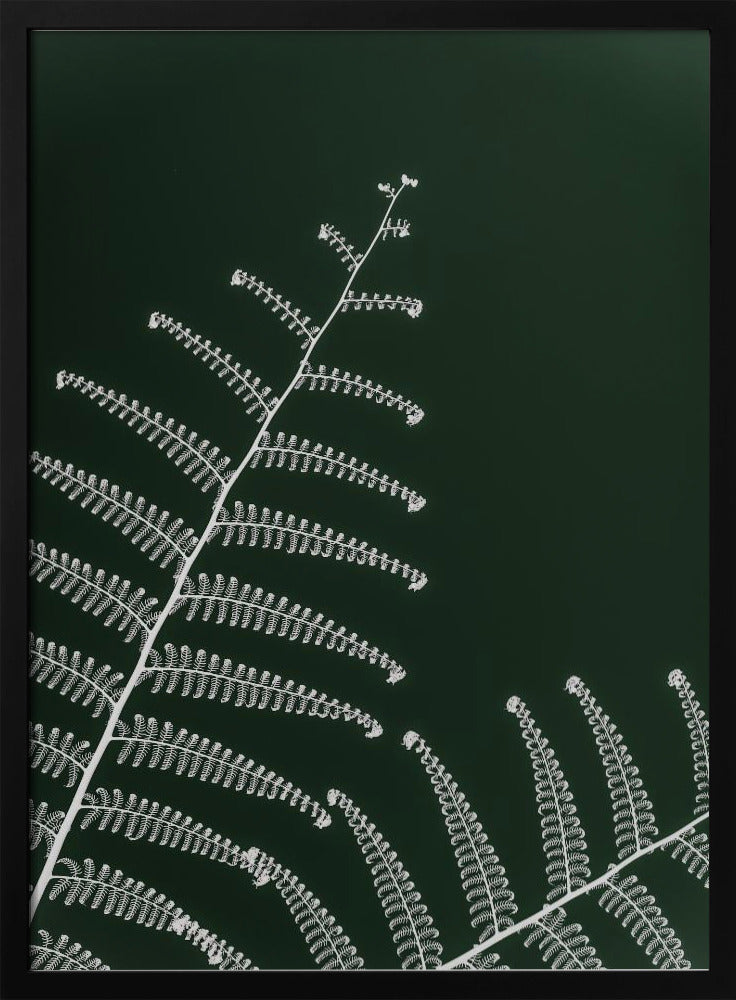 Farns sanfte Kurve | Poster