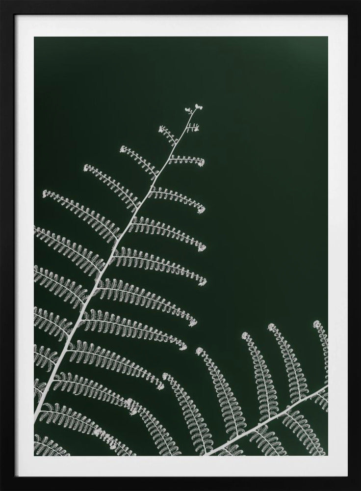 Farns sanfte Kurve | Poster