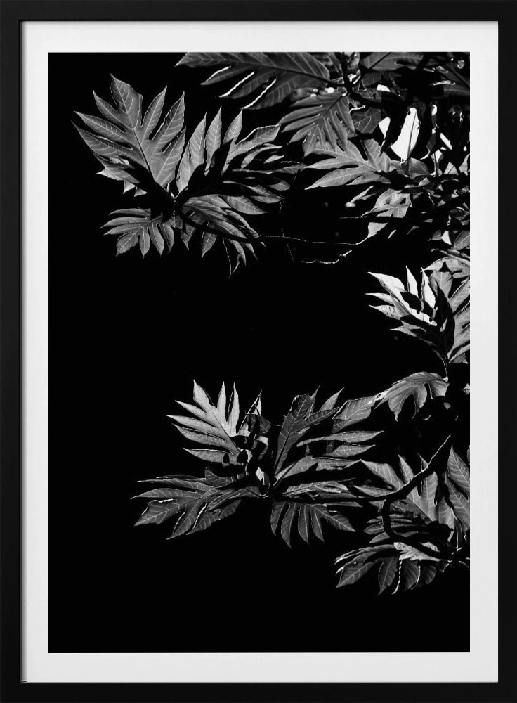Schatten der Blätter | Poster