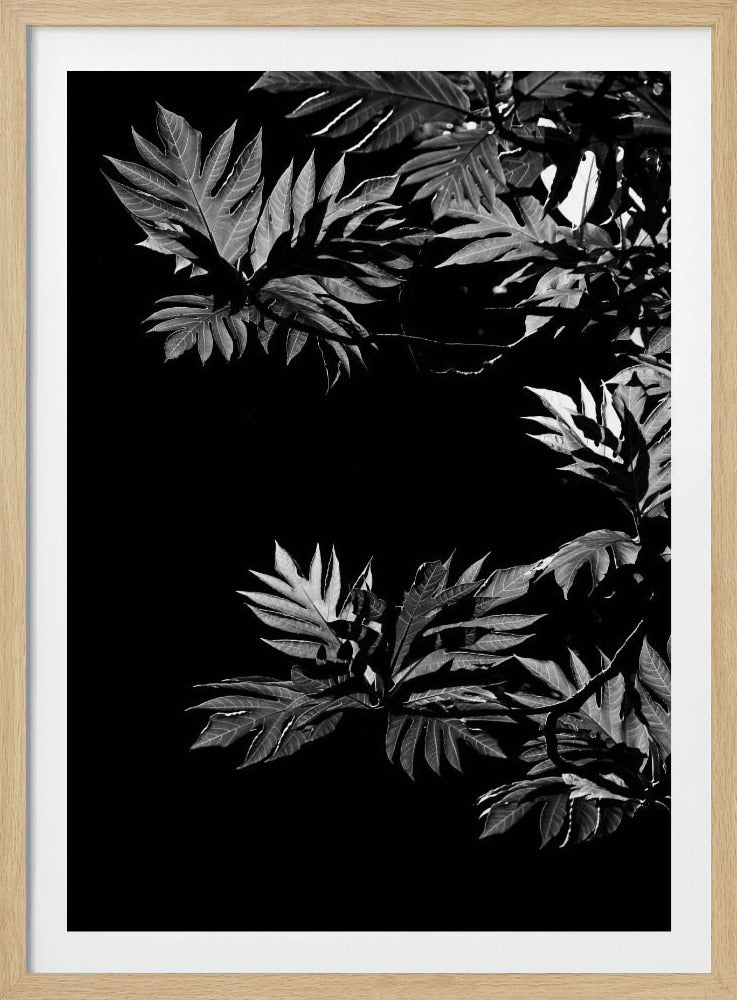 Schatten der Blätter | Poster
