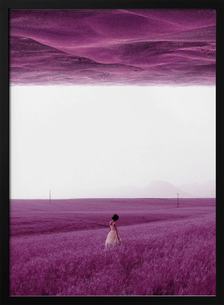 Lila Felder | Poster