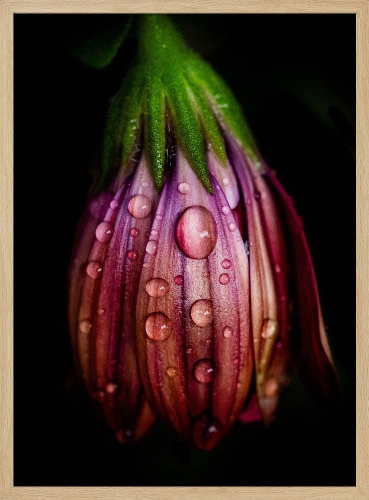 After the rain | Poster