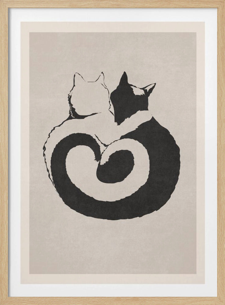 Katzenartiges Yin Yang | Poster