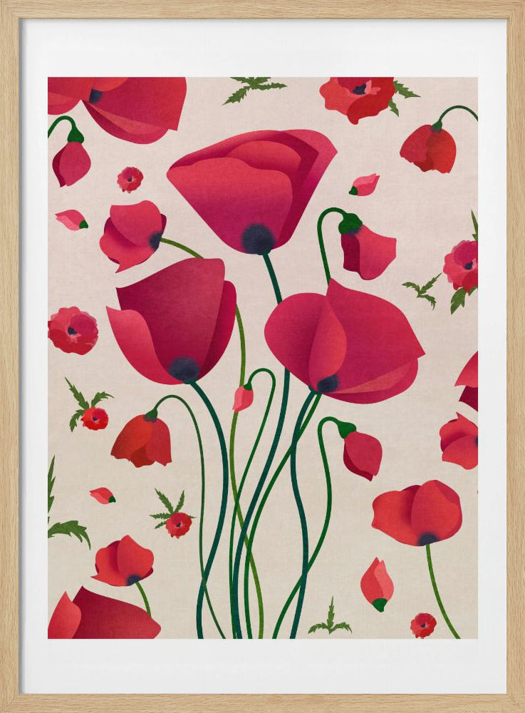 Mohnblüten | Poster