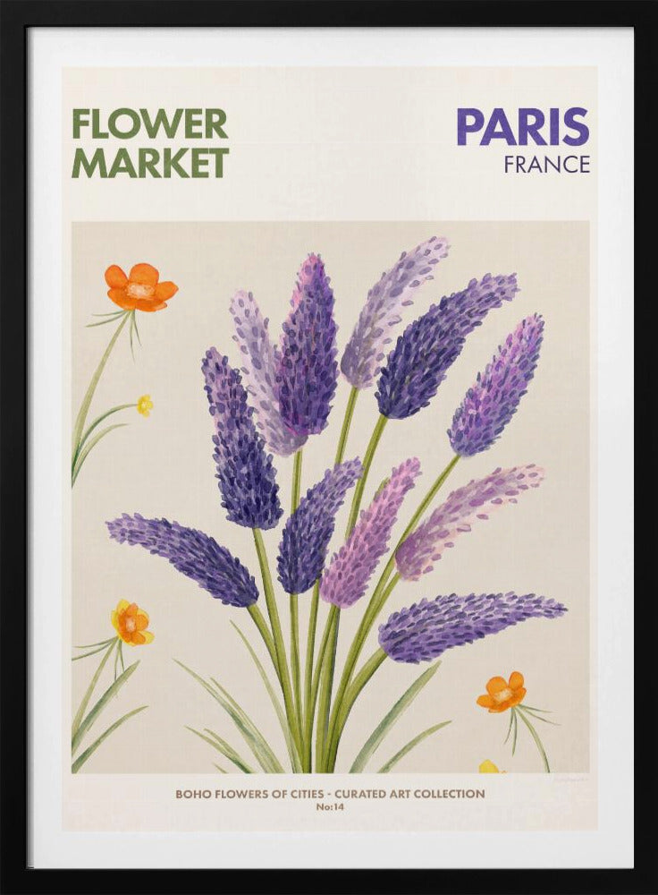 Lavendelblüten | Poster